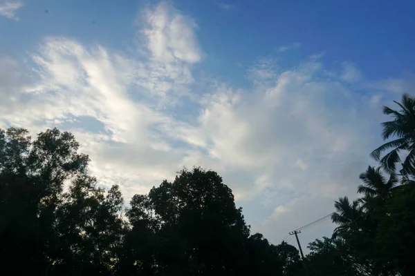 Matahari Terbit Yang Indah Atas Hutan — Stok Foto