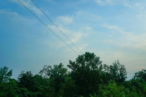 Matahari Terbit Yang Indah Atas Hutan — Stok Foto