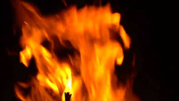 在壁炉中焚烧木柴 — 图库视频影像