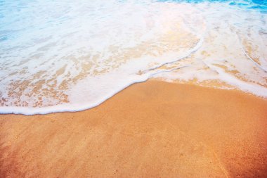 Temiz sahil ve tropikal deniz manzarası