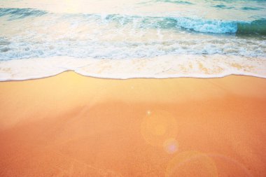 Temiz sahil ve tropikal deniz manzarası