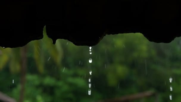 Goccia Pioggia Che Cade Vecchie Tegole — Video Stock