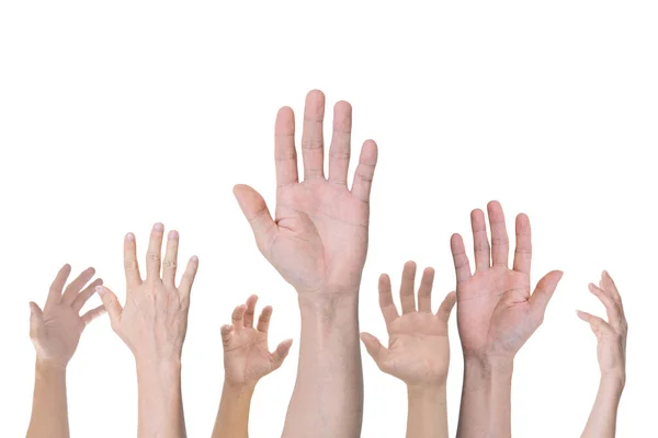 Ομάδα Χεριών Σηκωμένα Απομονωμένα Λευκό Φόντο — Φωτογραφία Αρχείου