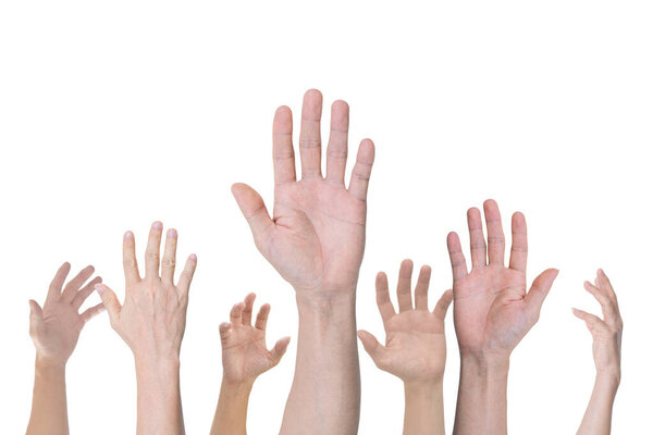 Group of hands raised up, Isolated on white background.