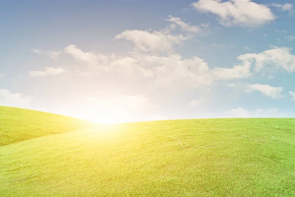 Groen Grasveld Blauwe Lucht Met Witte Wolken Prachtig Natuurlijk Weidelandschap — Stockfoto