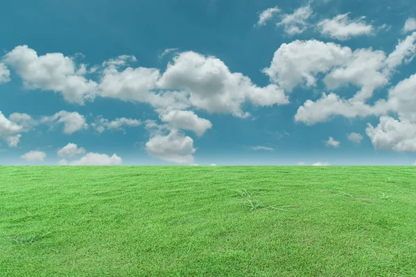 Groen Grasveld Blauwe Lucht Met Witte Wolken Prachtig Natuurlijk Weidelandschap — Stockfoto