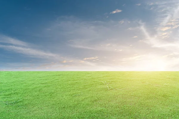 Groen Grasveld Blauwe Lucht Met Witte Wolken Prachtig Natuurlijk Weidelandschap — Stockfoto