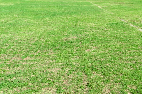 緑の草の質感の背景 ゴルフやサッカーのフィールドの背景のための緑の芝生 — ストック写真