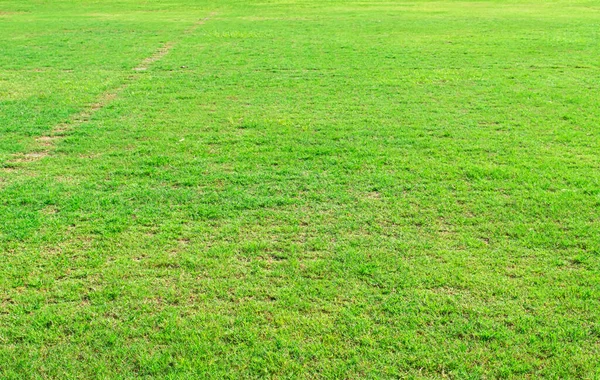 Zielona Tekstura Trawy Tło Element Projektu Zielony Trawnik Golfa Lub — Zdjęcie stockowe