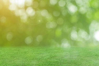 Yeşil çimenler ve bulanık bokeh doğa arkaplanı.