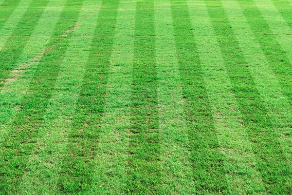 Pole Piłki Nożnej Trawy Paski Trawnik Sportowy Tle — Zdjęcie stockowe