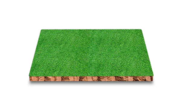 Sección Transversal Cúbica Del Suelo Con Campo Hierba Verde Aislado —  Fotos de Stock