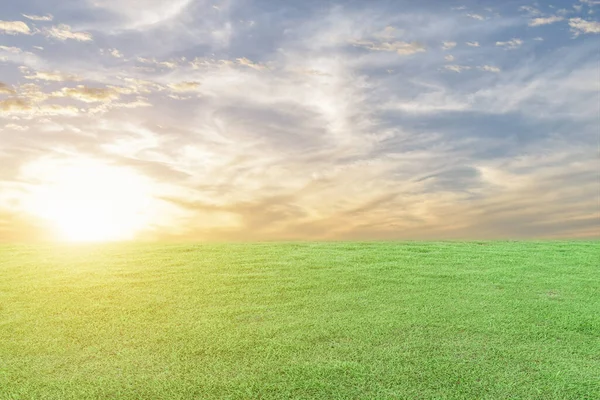 Groene Grasweide Zonsondergang Hemel Achtergrond Natuurveldenlandschap — Stockfoto