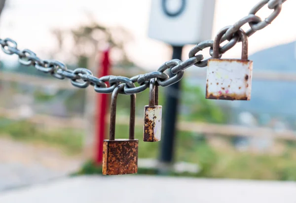 Drei Rostige Vorhängeschlösser Mit Kette Selektiver Fokus Sicherheitskonzept — Stockfoto