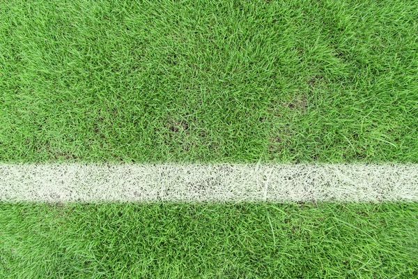 白い模様の線で草サッカー場 トップビュースポーツの背景 — ストック写真