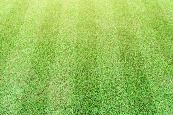 Stripe Grass Soccer Field Sport Lawn Background — Stock Photo, Image