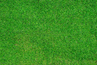 Yeşil çimen dokusu. Spor arka planının üst görünümü.