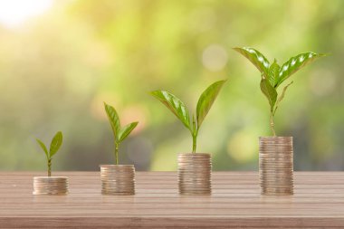 Bozuk para yığınında bitki yetiştirmek. Finans, Yatırım ve geri dönüş kavramı.