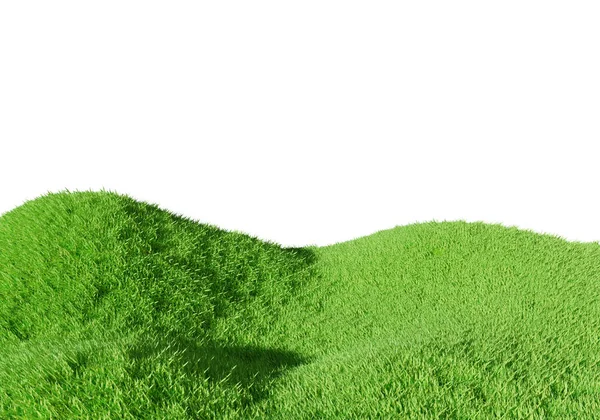 Renderowanie Zielone Pole Trawy Izolowane Białym Tle — Zdjęcie stockowe