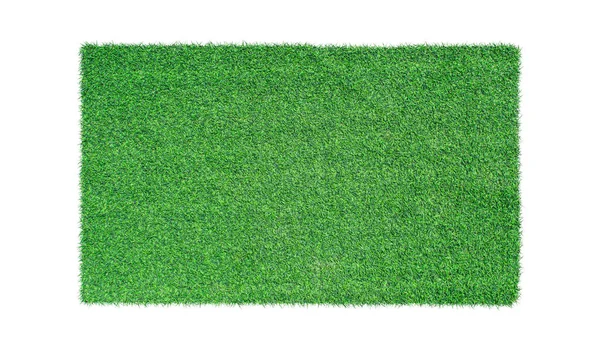 白色背景上孤立的绿草 顶部视图 — 图库照片