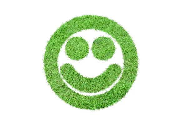 Cara Sorridente Forma Grama Verde Isolada Fundo Branco — Fotografia de Stock