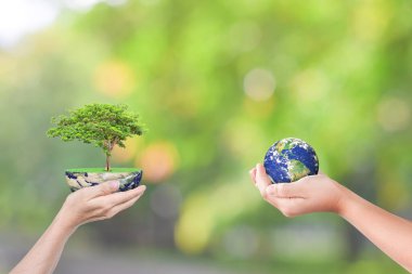 Yer kürelerini ve ağaçları gökyüzü arka planında tutan eller. Dünya Ekoloji Konsepti Kaydediliyor