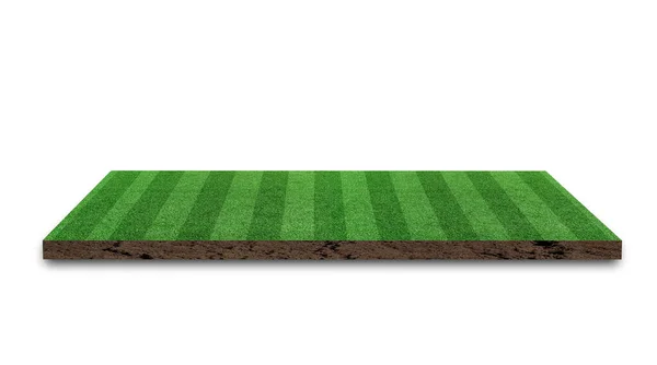 Rendering Campo Calcio Erba Strisce Campo Calcio Prato Verde Isolato — Foto Stock