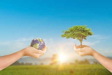 Yer kürelerini ve ağaçları gökyüzü arka planında tutan eller. Dünya Ekoloji Konsepti Kaydediliyor