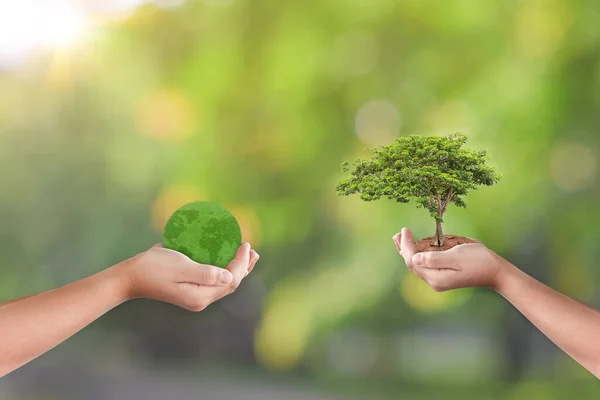 Manos Sosteniendo Globo Hierba Árbol Sobre Fondo Verde Naturaleza Mundo —  Fotos de Stock