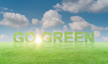 Mavi gökyüzü arka planına karşı çim tarlasına git. ekoloji kavramı