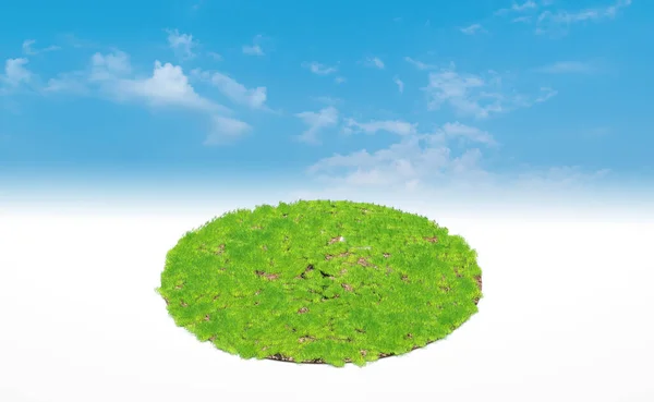 Renderowanie Koło Podium Łąki Lądowej Przekrój Ziemi Gleby Zieloną Trawą — Zdjęcie stockowe