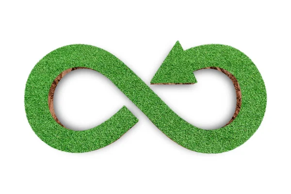 Зеленая Стрелка Травы Выделена Белом Фоне Экологическая Концепция — стоковое фото