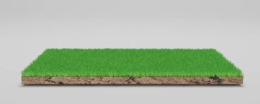 3 boyutlu görüntüleme. Arkaplanda yeşil çimen parçası izole.