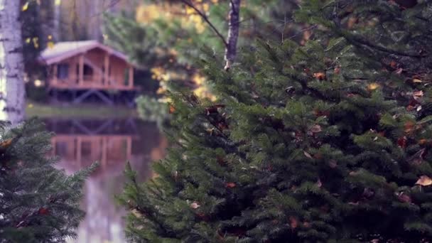 Όμορφη λίμνη το φθινόπωρο δάσος — Αρχείο Βίντεο