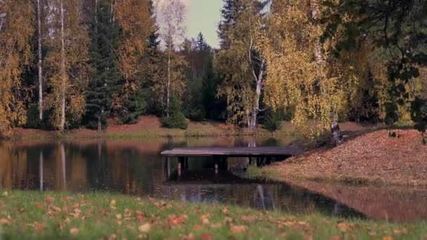 Belo lago na floresta de outono — Vídeo de Stock