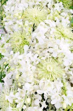 Düğün zemin beyaz çiçek dekorasyon ile