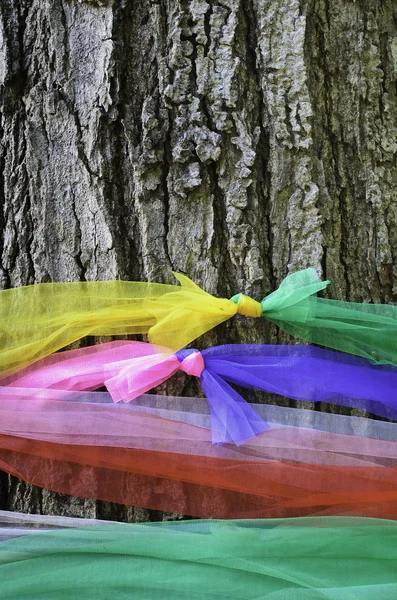 Heiliger Baum mit buntem Stoff — Stockfoto