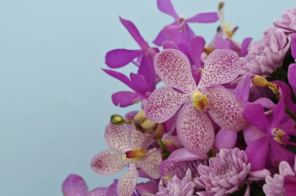 Purple flower decoration — Stock Photo, Image