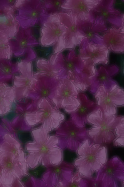 추상적 인 꽃무늬 — 스톡 사진