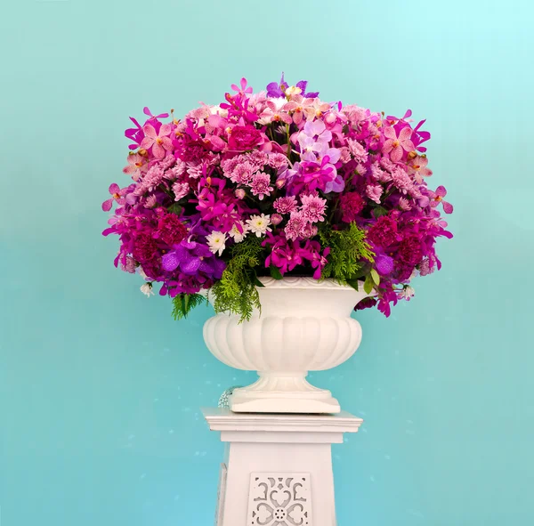 Group of purple flower decorative against light blue walls backg — Stock Photo, Image