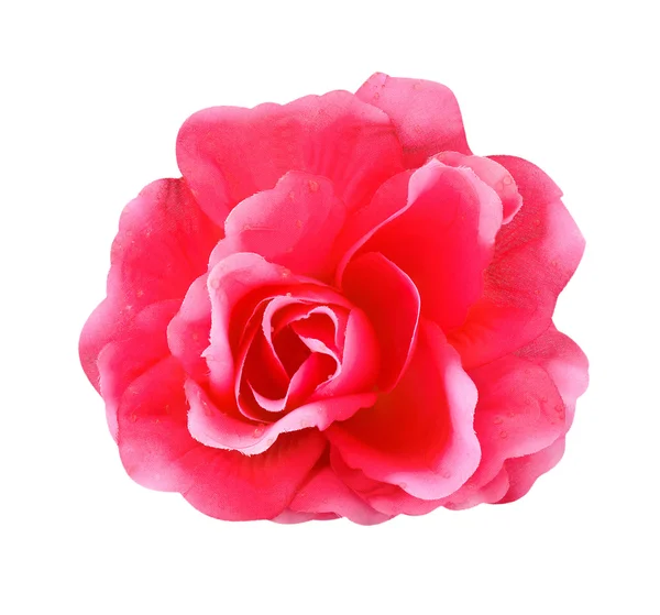 Mawar merah muda buatan diisolasi pada latar belakang putih dengan p kerja — Stok Foto