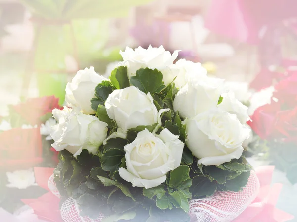 Soft focus beautiful white roses bouquet — Stock Photo, Image