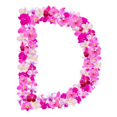 Orkide çiçekleri beyaz çalışma yolu ile izole üzerinden D harfi