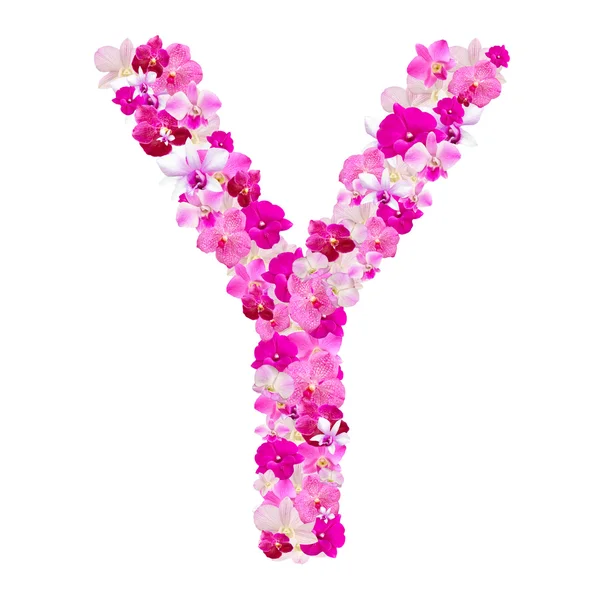 Dopis Y od izolovaných na bílém s pracovní cestou květy orchidejí — Stock fotografie