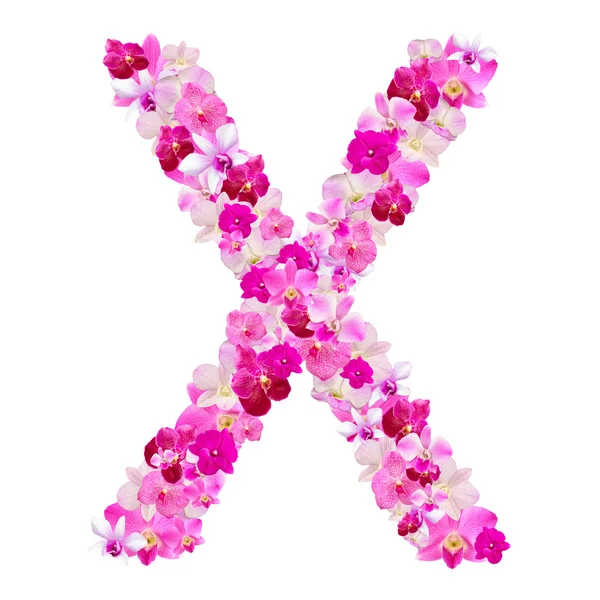 Lettre X des fleurs d'orchidée isolées sur blanc avec le chemin de travail — Photo
