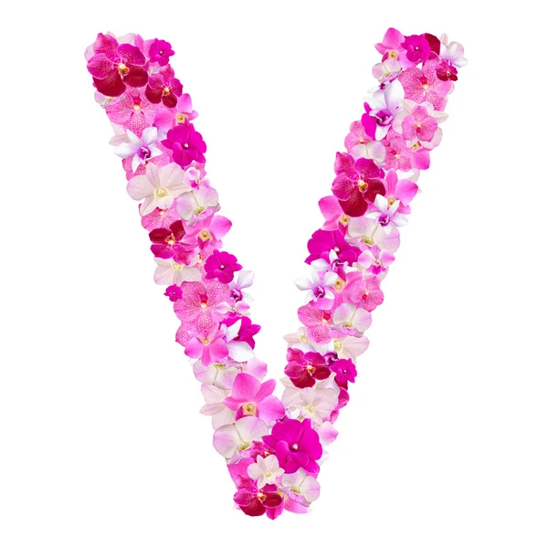 Letter V from orchid flowers isolated on white with working path — Stock Photo, Image