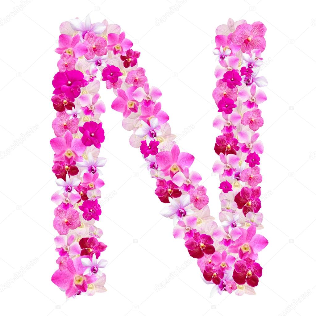 letra n de flores