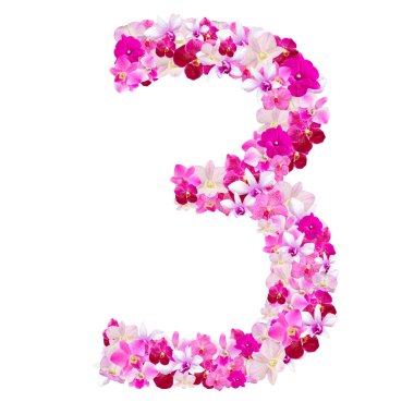 Alfabe orkide çiçekleri beyaz ile izole üç numaradan