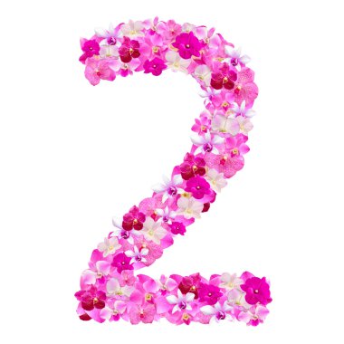 Alfabe orkide çiçekleri beyaz w ile izole iki numaradan
