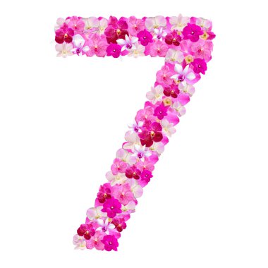 Alfabe orkide çiçekleri beyaz ile izole yedi numaradan